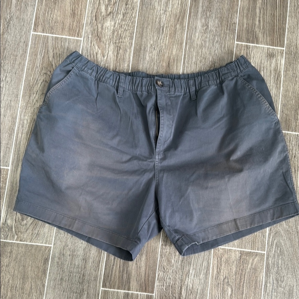 Men's Chubbies Gray Shorts